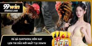 Đá Gà Campuchia Hôm Nay – Lịch Thi Đấu Mới Nhất Tại 99WIN
